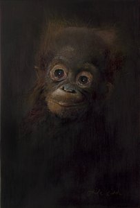 Mládě orangutana 1, 2009 (akryl na dřevě)