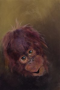 Mládě orangutana 2, 2010 (akryl na dřevě) od Odile Kidd