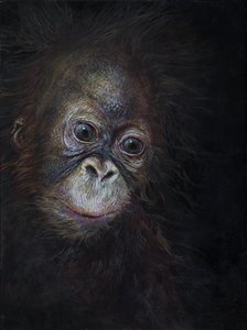 Mládě orangutana 3, 2015 (akryl na dřevě)