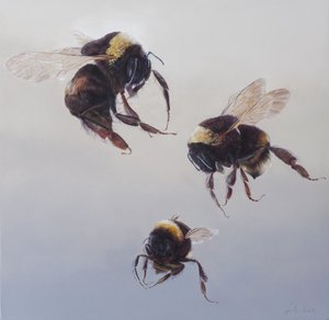Bombus flight 1, 2011 (akryl na dřevě) od Odile Kidd