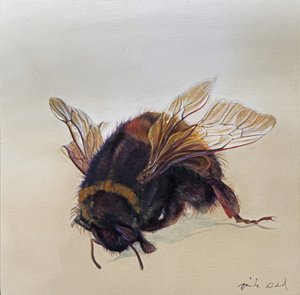 Bombus terrestris 10, 2013 (akryl na dřevě)