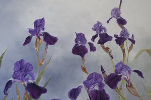 Iris hybrida (detail), 2015 (akryl na dřevě s gesso)