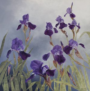 Iris hybrida, 2015 (akryl na dřevěném podkladu)