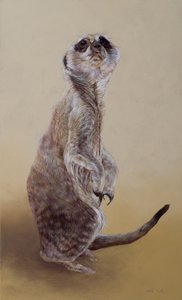 Surikata 2, 2010 (akryl na dřevě)