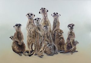 Surikatí dav, sluneční andělé, 2013 (akryl na dřevě s gesso) od Odile Kidd
