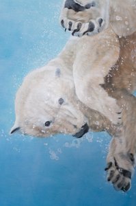 Balet ledního medvěda, detail, 2012 (akryl na skleněném vejci) od Odile Kidd