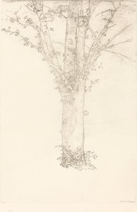 Strom od Odilon Redon