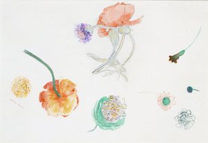  od Odilon Redon