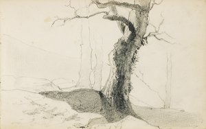 Kresba z alba s názvem „Baskicko“, 1862-63 od Odilon Redon