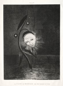 Pocta Goyovi: Bažinatá květina, smutná lidská hlava, 1885. od Odilon Redon