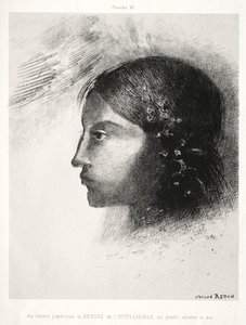 Pocta Goyovi: Po probuzení jsem viděl bohyni srozumitelného, 1885. od Odilon Redon