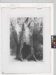 Potopil jsem se do samoty (litografie na papíře chine appliqué) od Odilon Redon