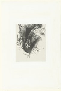 bitva ros Le Courcier (název na objektu) od Odilon Redon