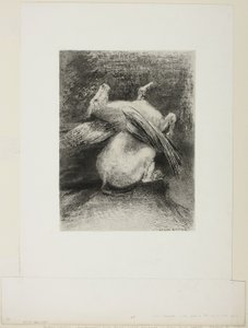 Impotentní křídlo nezvedlo zvíře do toho černého prostoru, deska 7 z 8 z "Les Origines" od Odilon Redon