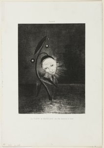The Marsh Flower, a Sad Human Head, deska 2 ze 6 od Odilon Redon