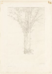 Strom od Odilon Redon