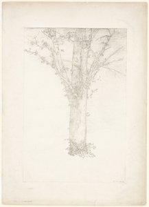 Strom od Odilon Redon