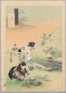 Beauties Harvesting Bracken, ze série Gekkō’s Miscellaney od Ogata Gekko