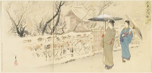 Garyo_bai Plum in Kameido, December 1895 od Ogata Gekko