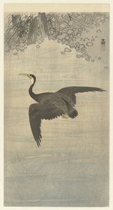 kormorán v letu od Ohara Koson