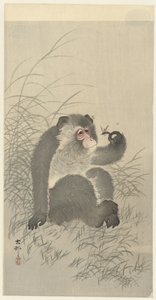 potkal jsi hmyz od Ohara Koson