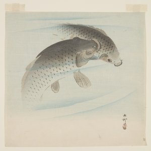 Kapr (Koi) (barevný dřevotisk) od Ohara Koson