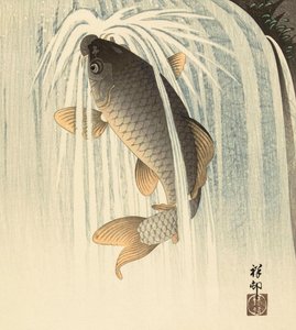 Kapr pod vodopádem od japonské umělkyně Ohary Koson od Ohara Koson