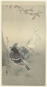 Tři krotcí holubi od Ohara Koson