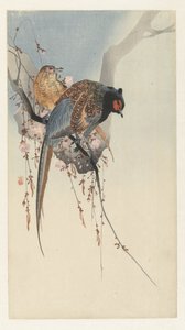 Bažantí pár a švestkový květ od Ohara Koson