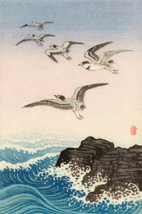 Pět racků nad skálou v moři, 20. století (japonský tisk) od Ohara Koson