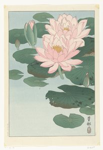 Kvetoucí leknín od Ohara Koson