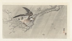 Šedý špaček v bouři od Ohara Koson