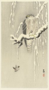 Hawk s vrabcem v zajetí. od Ohara Koson