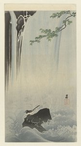 Konipas japonský u vodopádu od Ohara Koson