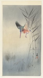 Lov ledňáčka na ryby (barevný dřevoryt) od Ohara Koson