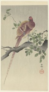 koperfazant od Ohara Koson