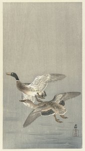 Spárujte kachny od Ohara Koson