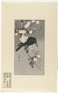 Vrána a třešňový květ Hana sakura no tori (název na objektu) od Ohara Koson