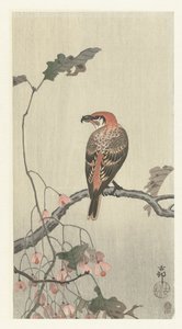 Crossbill na větev stromu od Ohara Koson