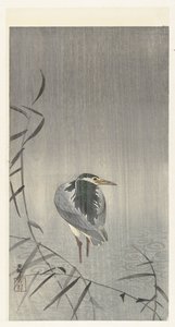 Kvákat v dešti od Ohara Koson
