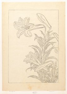 Lelies od Ohara Koson