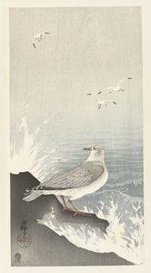 Racek na skále od Ohara Koson
