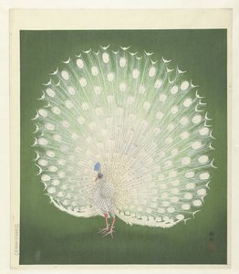 Páv od Ohara Koson