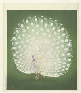 Páv od Ohara Koson