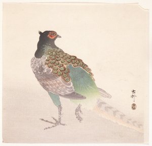 Bažant (barevný dřevotisk) od Ohara Koson