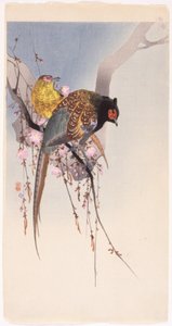 Bažanti a visící třešeň (barevný dřevořez) od Ohara Koson