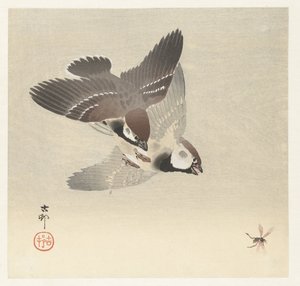 Prsten vrabci a hmyz od Ohara Koson