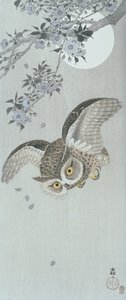 Lopatková sova v letu s květem a úplňkem (barevný dřevotisk) od Ohara Koson