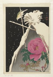 Siberian Bluechat vedle pivoňky chráněné Snowcovered Hay Sheaf od Ohara Koson