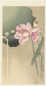Songbird a Lotus od Ohara Koson
